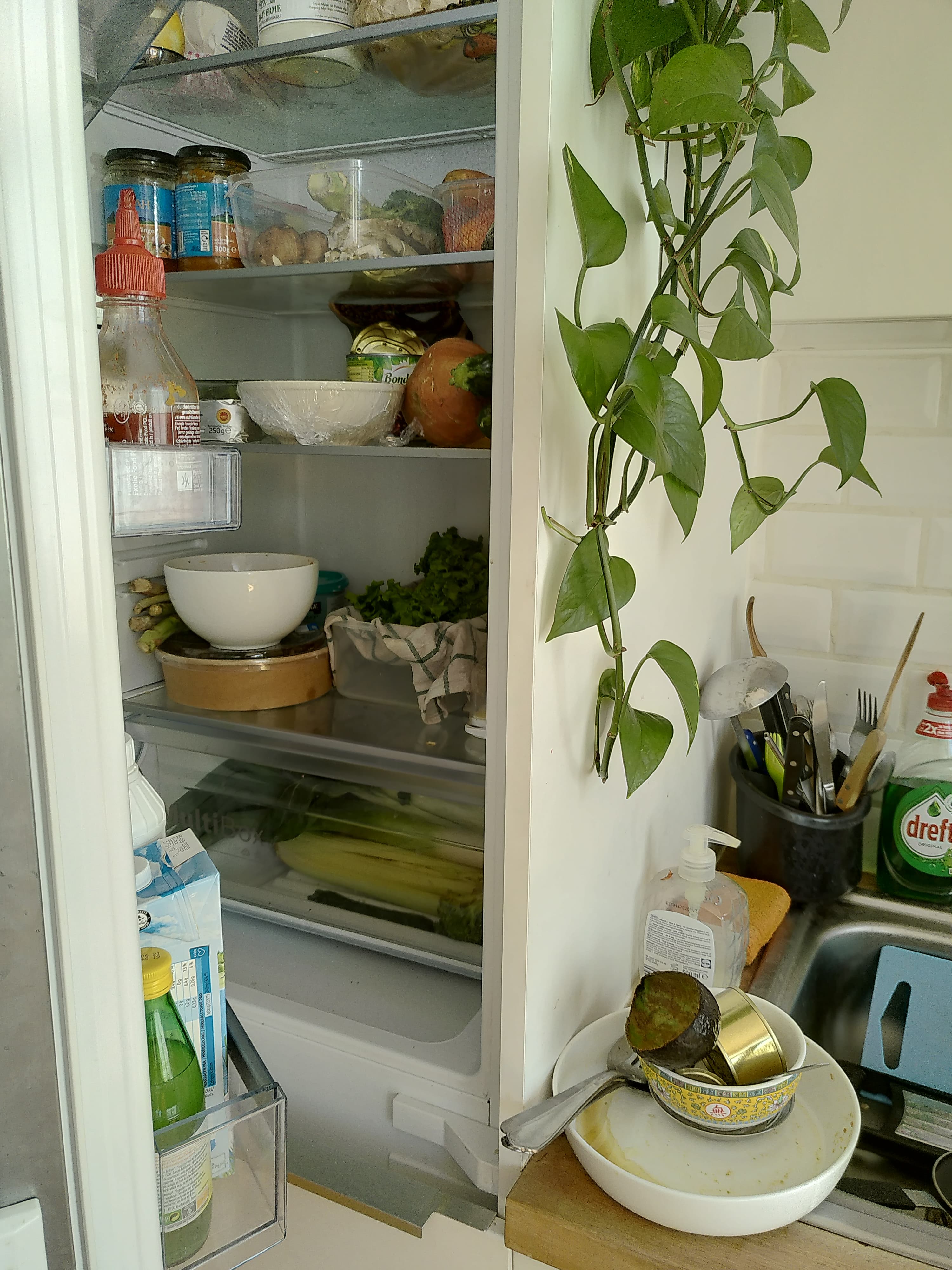 frigo ouvert